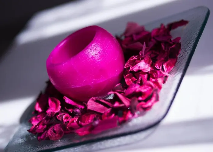 아파트 아파트먼트 데이지 *