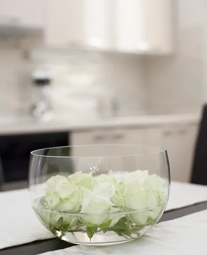 아파트 아파트먼트 데이지